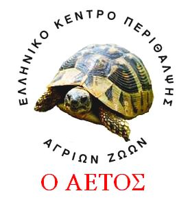 BerndPitzer_O_AETOS_Logo1.jpg
